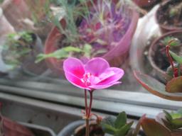 EIMG_8479