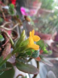EIMG_8480