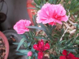 EIMG_8482