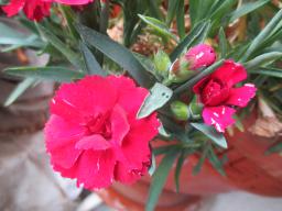 EIMG_8483