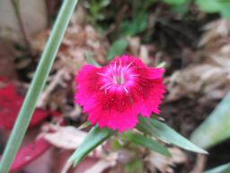 EIMG_8486