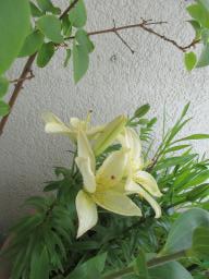 EIMG_8487