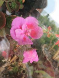 EIMG_8488