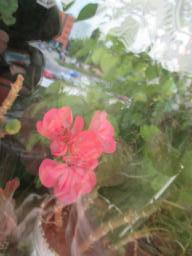 EIMG_8489