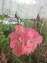 EIMG_8490