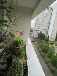 EIMG_8502