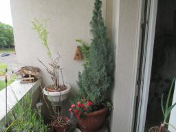 EIMG_8503