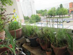 EIMG_8505
