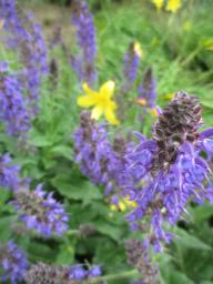 EIMG_8516