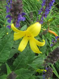 EIMG_8517