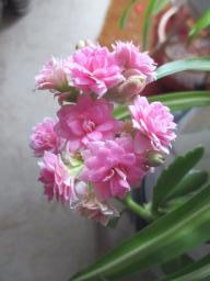 EIMG_8541