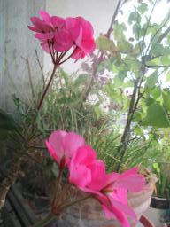 EIMG_8543