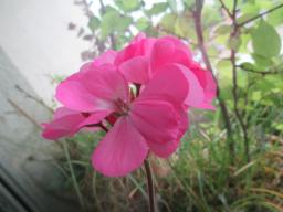 EIMG_8544
