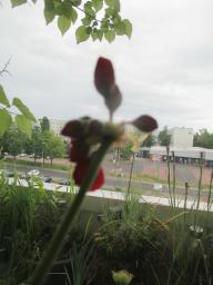 EIMG_8546