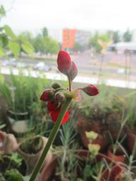 EIMG_8547