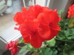 EIMG_8550