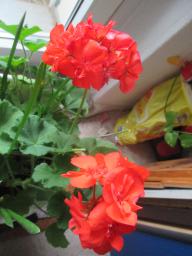 EIMG_8551