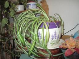 EIMG_8553