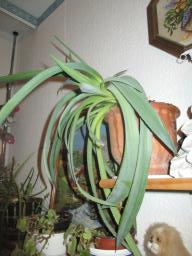 EIMG_8554