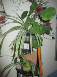EIMG_8555