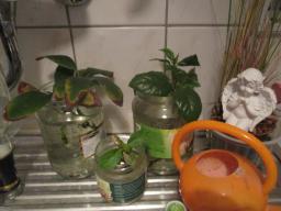 EIMG_8558
