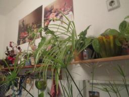 EIMG_8559