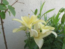 EIMG_8568