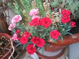 EIMG_8570