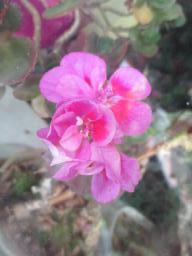 EIMG_8593