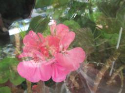 EIMG_8596