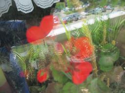 EIMG_8597