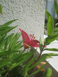 EIMG_8598