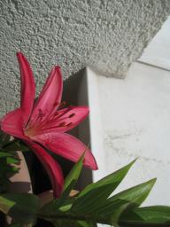 EIMG_8599