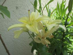 EIMG_8600
