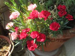 EIMG_8601