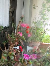 EIMG_8605