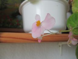 EIMG_8606
