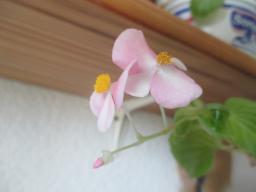 EIMG_8607