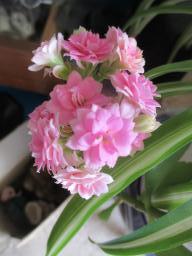EIMG_8608