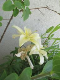 EIMG_8610