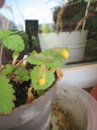 EIMG_8611