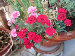 EIMG_8612