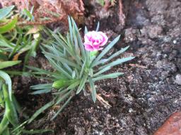 EIMG_8613