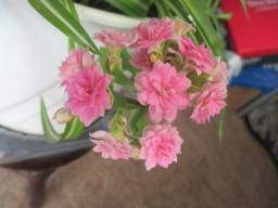 EIMG_8686