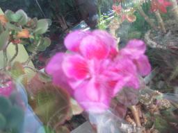 EIMG_8687