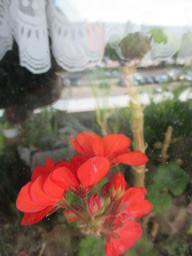 EIMG_8688