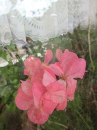 EIMG_8689