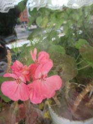 EIMG_8690