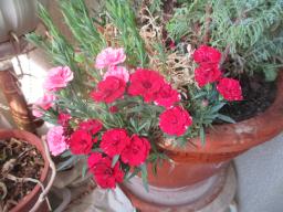EIMG_8692