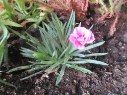 EIMG_8693